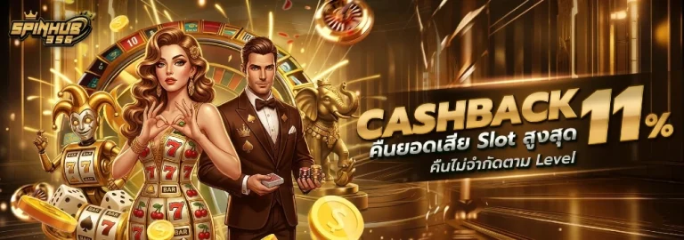 spinhub 356 แตกง่าย